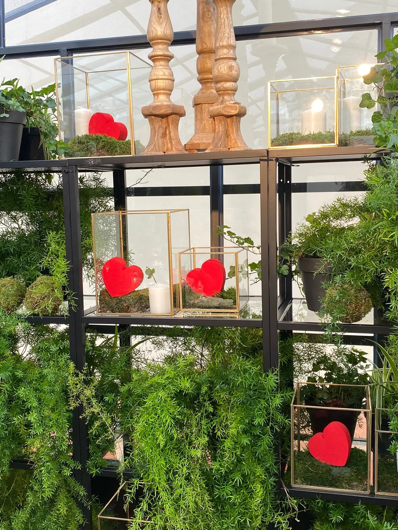 THE MALL  - Image 12